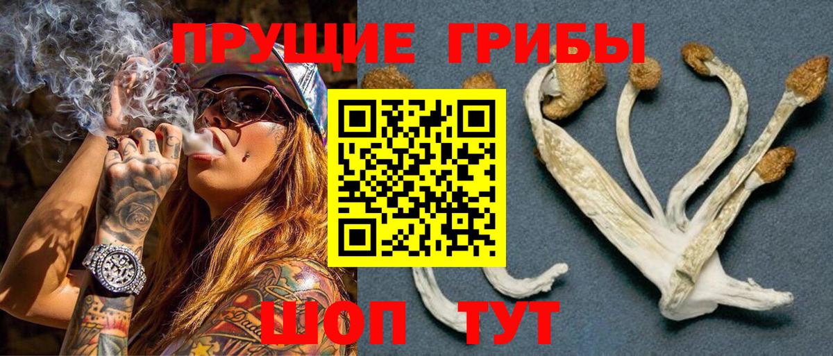 Галлюциногенные грибы Magic Shrooms  как найти закладки  Унеча  Вход с VPN 