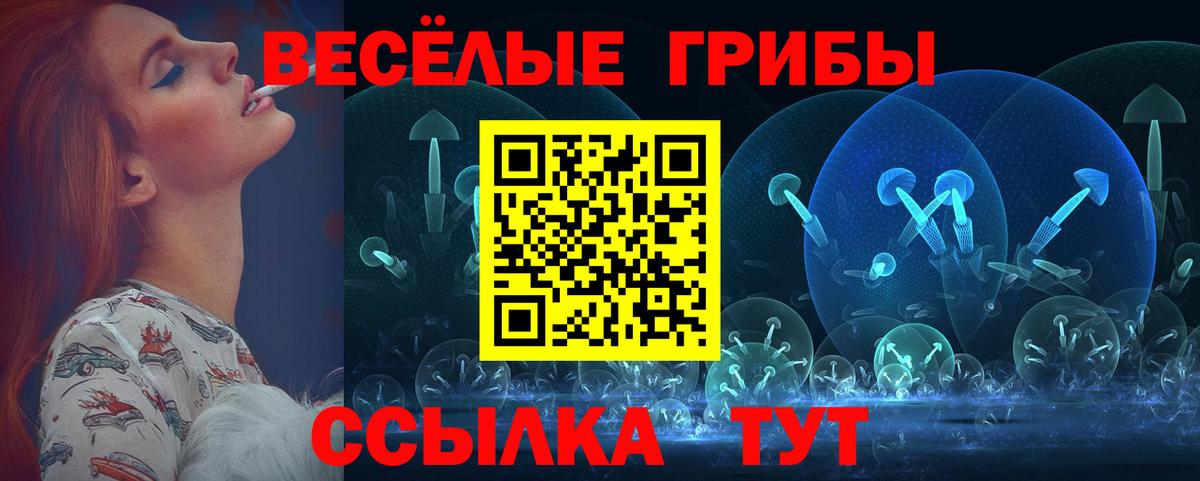 Галлюциногенные грибы Psilocybe Унеча